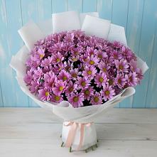 Букет цветов из:  Хризантемы в Аксай