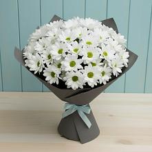 Букет цветов из:  Хризантемы #REPLACE_PRED# Аксай