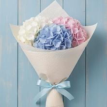 Букет цветов из:  Гортензия в Аксай