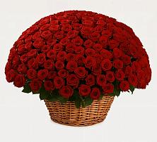 Премиум букет из: Розы в Аксай