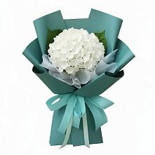 Букет цветов из:  Гортензия в Аксай